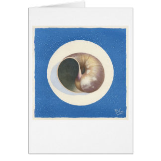 FAIRE ÉCHO BLEU DE SHELL D'ÉCHO