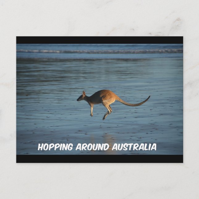 Faire le tour de l'Australie Kangaroo carte postal (Devant)