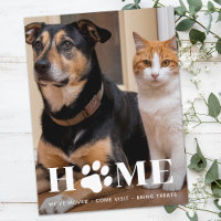 Accueil Photo pour animaux de compagnie Nous avons