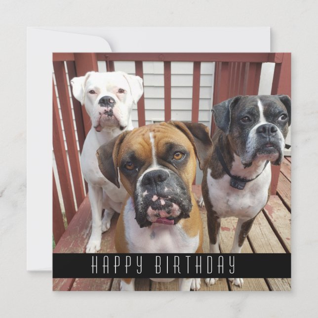 Faire-part Ajouter votre photo | Joyeux Anniversaire De Chien (Devant)