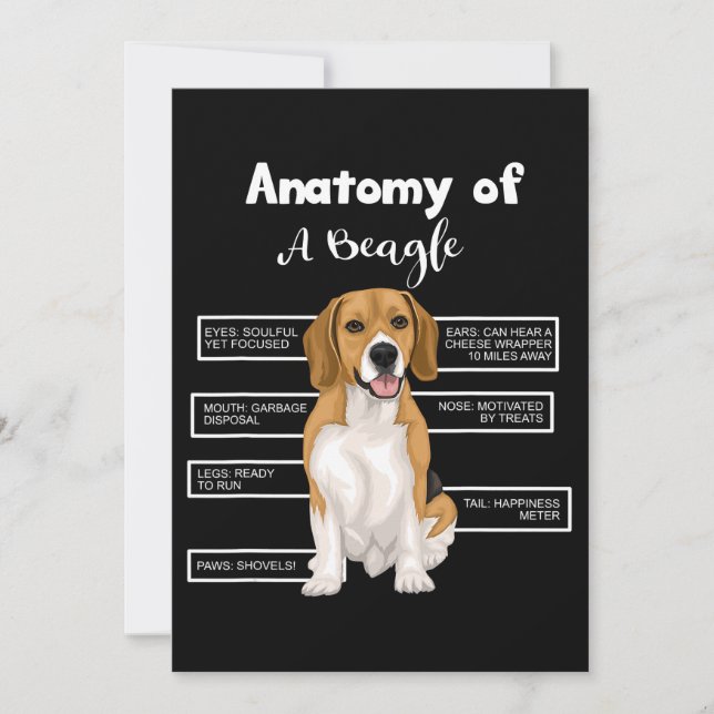 Faire-part Anatomy Of A Beagle Funny Dog Lovers (Devant)