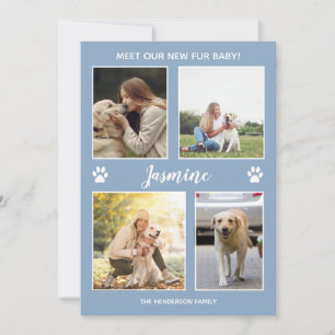 Faire-part Animaux Nouveaux fourrures Bébé Photo D