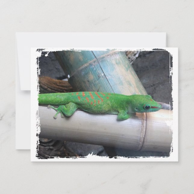 Faire-part Annonces Gecko De La Journée Géante À Madagascar (Devant)
