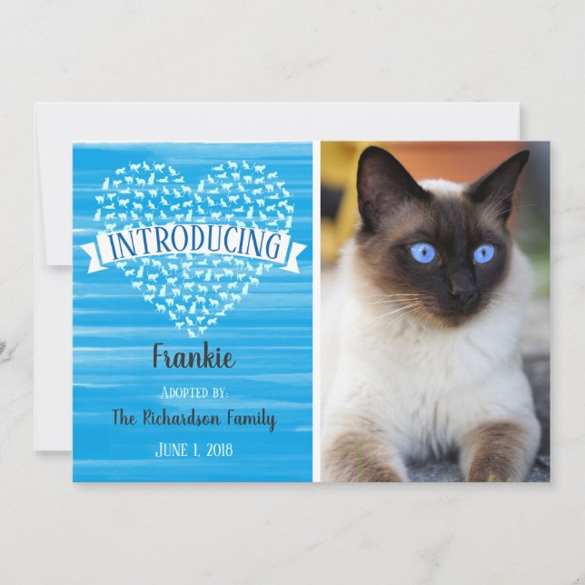 Faire-part Aquarelle bleue Chat Coeur animal de compagnie Pho (Devant)