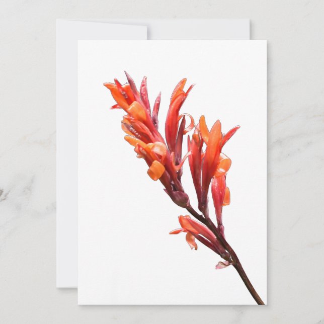 Faire-part Canne à flammes (Devant)