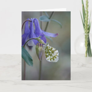 Faire-part Carnet de voeux de Purple Granny/Columbine
