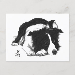 Faire-part Carte postale Border Collie Doggust 2019