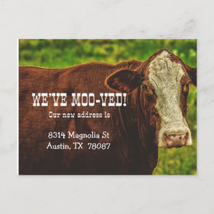 Faire-part Carte postale d'annonce de déménagement We've Moo-
