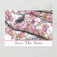 Carte postale d'annonce de sauvegarde de date