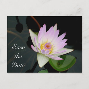 Faire-part Carte postale d'annonce de sauvegarde de la date