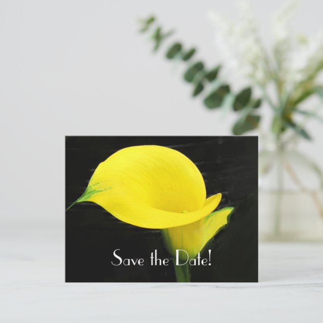 Faire-part Carte postale d'annonce de sauvegarde de l'iris de (Debout devant)
