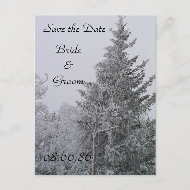 Faire-part Carte postale de mariage arbre de pin en hiver (Devant)