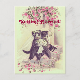 Faire-part Carte postale de mariage pour chats à sauvegarder 
