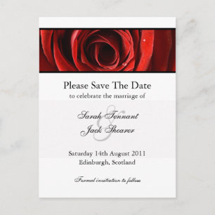 Faire-part Carte postale de sauvegarde de date Rose rouge