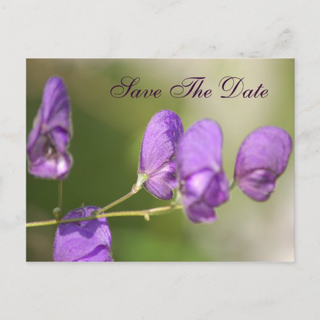 Faire-part Carte postale florale violette (Devant)