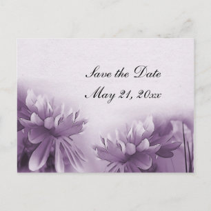 Faire-part Carte postale Mums violettes - Sauvegarder la date