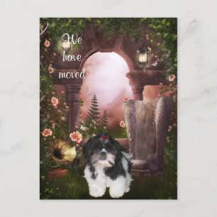 Faire-part Carte postale "Nous avons déménagé" Shih Tzu