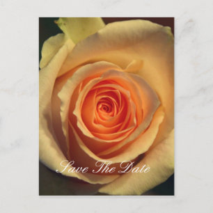 Faire-part Carte postale pour réserver la date