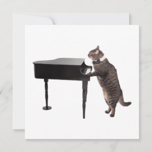 Faire-part Chat Jouer Piano