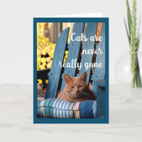Chat Tabby orange sur chaise bleue Sympathie