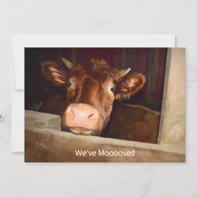 Faire-part Cow Country Farm Rustic Grange Funny Moving Card (Devant)
