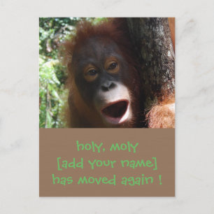 Faire-part d'adresse de changement mobile