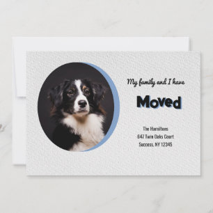 Faire-part de déplacement de photo de chien