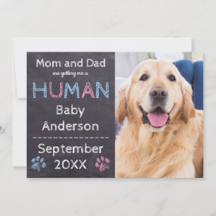 Faire-part de grossesse pour bébé chien