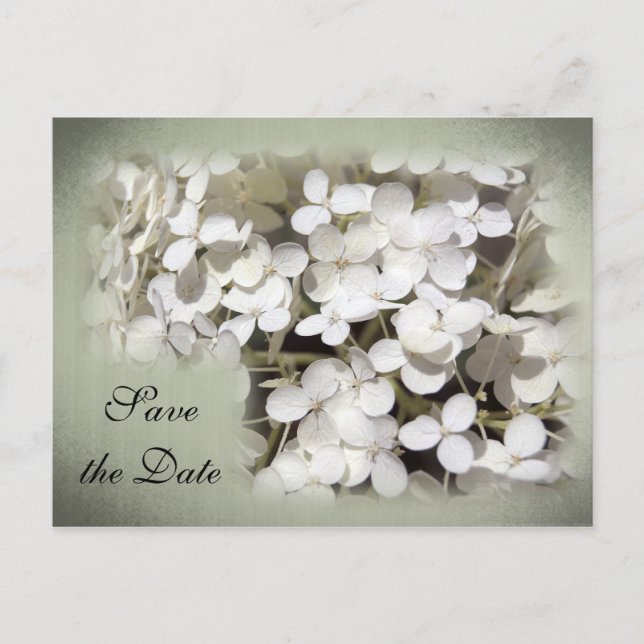Faire-part de mariage à venir Hydrangea Blanc (Devant)