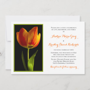 Faire-part de mariage de cadre de tulipe orange