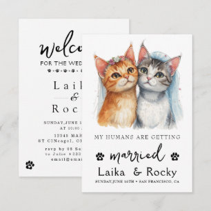 Faire-part de mariage de chat mignon