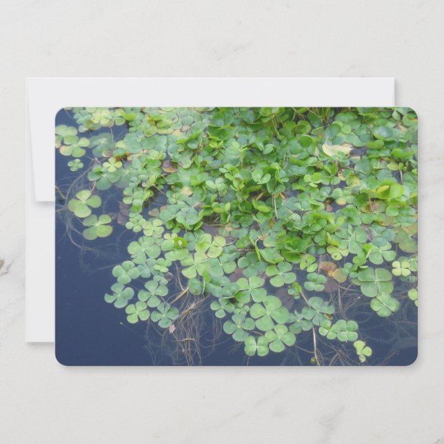 Faire-part de mariage de fermeture du printemps ir (Devant)