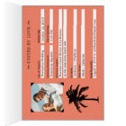 Faire-part de mariage de passeport République domi