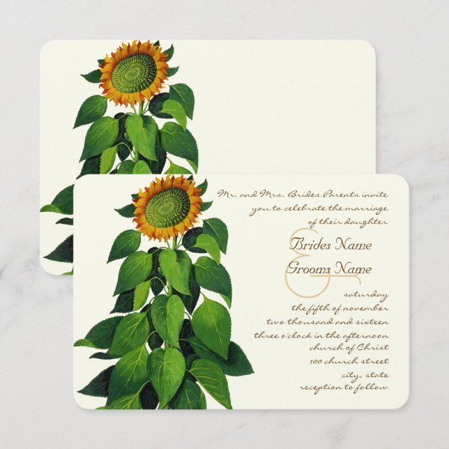 Faire-part de mariage de tournesol romantique rust (Devant / Derrière)