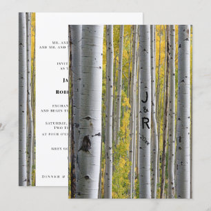 Faire-part de mariage gris bouleau blanc