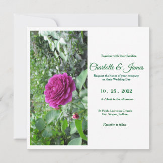 Faire-part de mariage Rose de jardin anglais