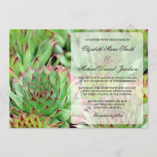 Faire-part de mariage succulents