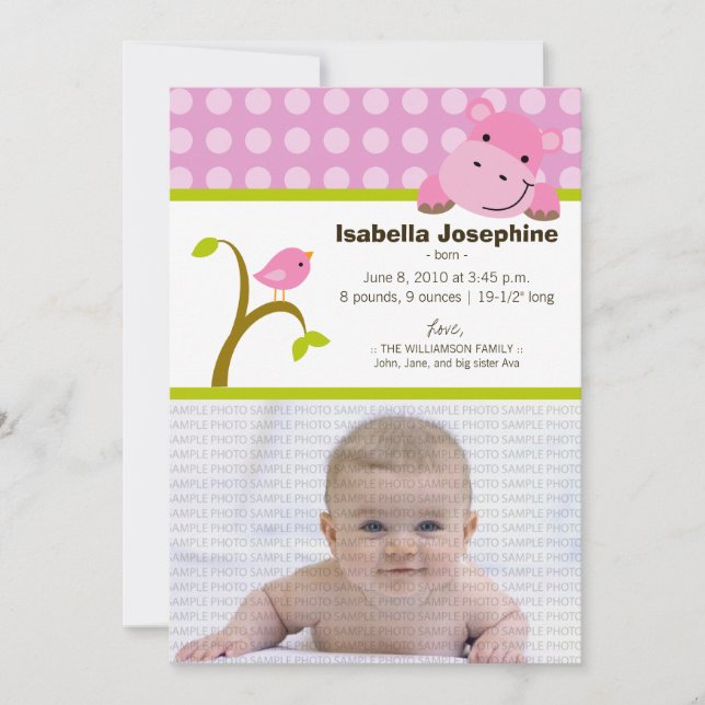Faire-part de naissance de bébé hippopotame et ois (Devant)
