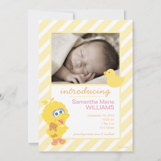 Faire-part de naissance de Big Bird (Devant)
