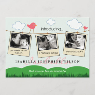 Faire-part de naissance de ligne de clôture {TBA}