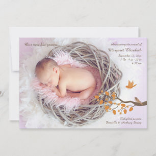 Faire-part de naissance Photo de petits oiseaux