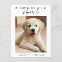 Faire-part de photo de animal de compagnie mignon