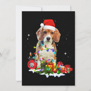Faire-part Drôle chien Beagle de Noël pour chien papa chien m