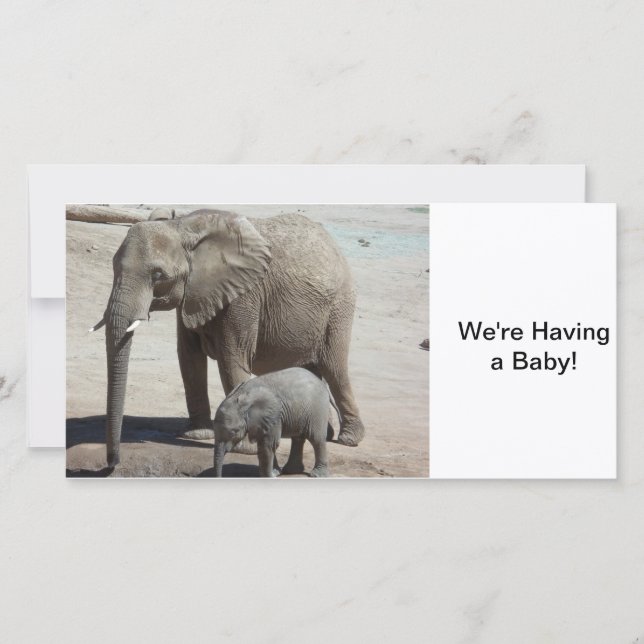 Faire-part Eléphant bébé avec maman (Devant)