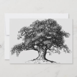 Faire-part Famille Arbre Ancêtre Réunion Fête Grey