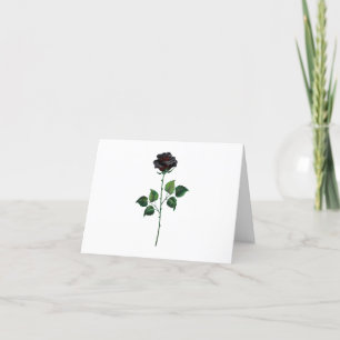 Faire-part Fleur rose noire