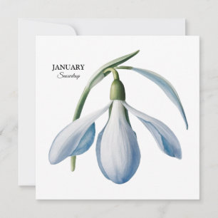 Faire-part Fleurissement de perce-neige de janvier - Cadeau p