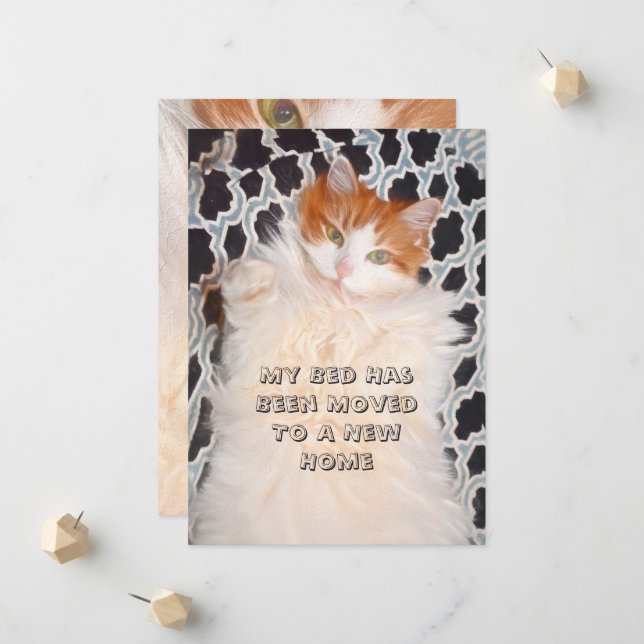 Faire-part Funny Cat Cute Moving Nouvelle adresse (Devant/Arrière en situation)