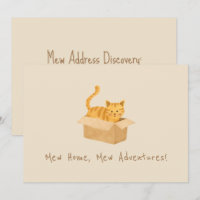 Kitty on the Move Chat Moving