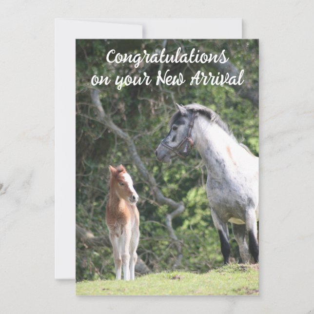 Faire-part Le nouvel arrivée (Devant)